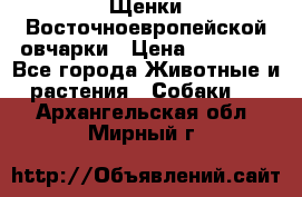 Щенки Восточноевропейской овчарки › Цена ­ 25 000 - Все города Животные и растения » Собаки   . Архангельская обл.,Мирный г.